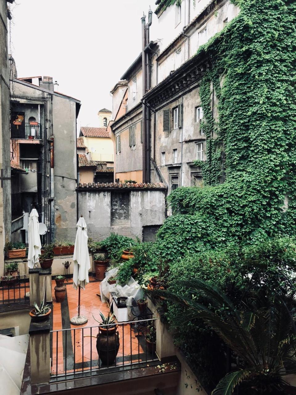 Celentano Roma